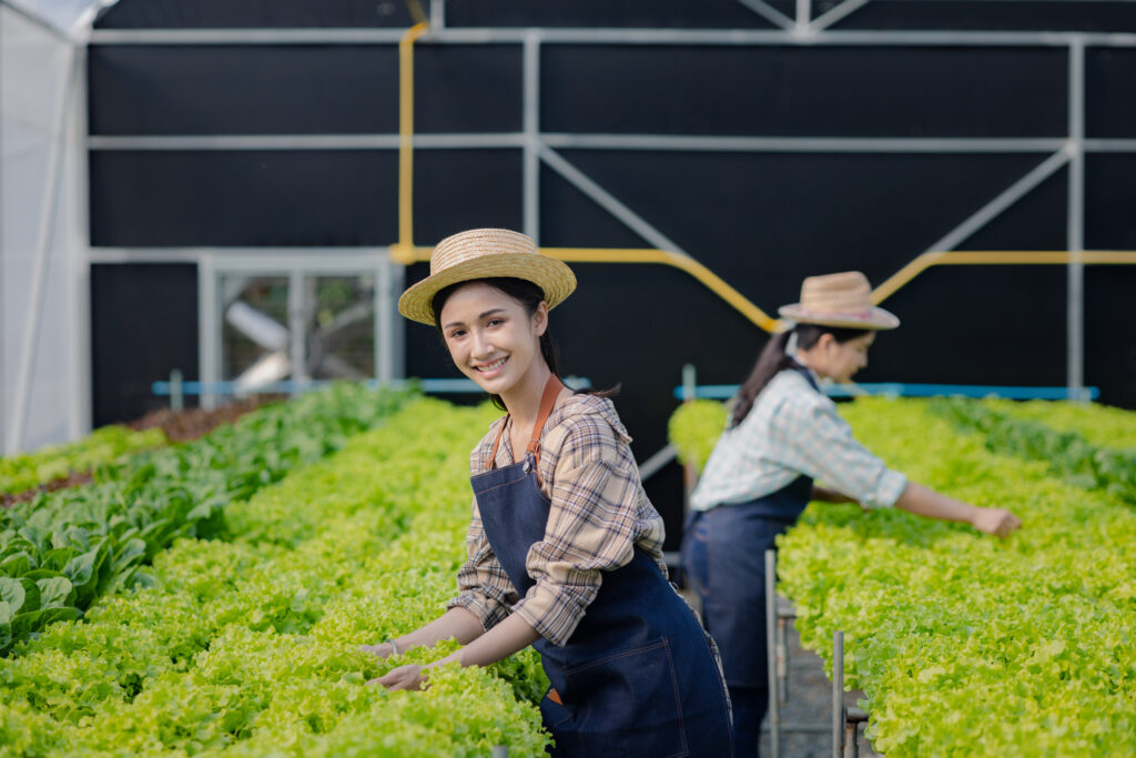 Two female gardeners picking vegetables at the hyd 2025 01 16 23 18 43 utc