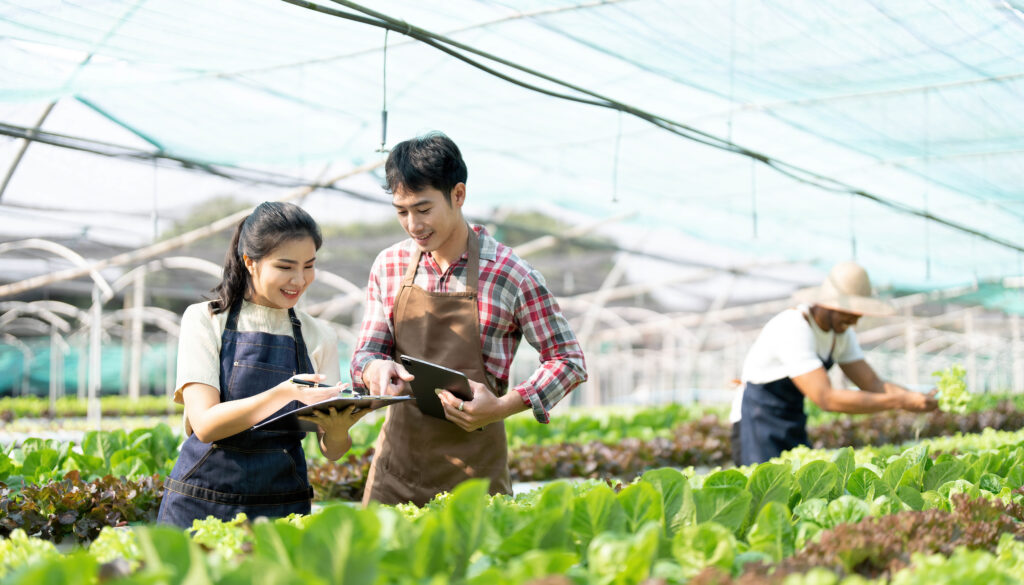 Young asian farmers working in vegetables hydroponic farm with happiness. portrait of man and woman farmer in farm
